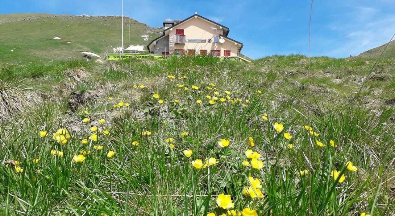 Residenza Letizia Nemeggio Exterior foto